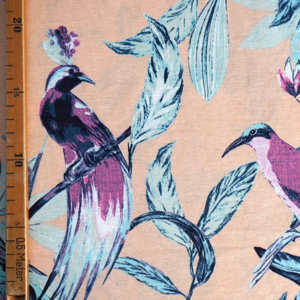 Baumwolljersey 100% Vögel apricot mint rosa